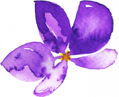 A Single Purple Orchid graphic created with Watercolor